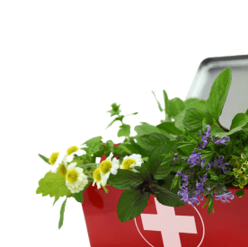 pharmacy