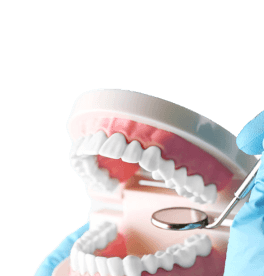 stomatology